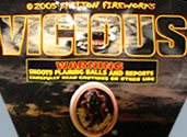 VICIOUS-image